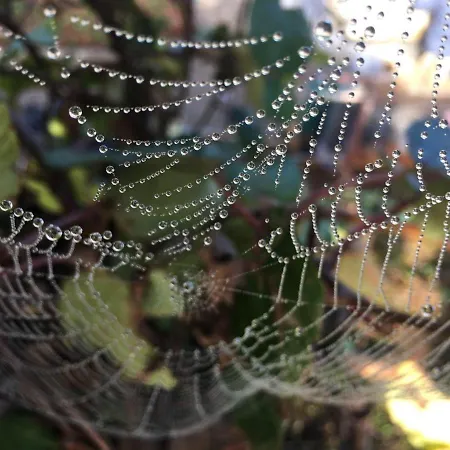 Puro مزرعة للإقامة